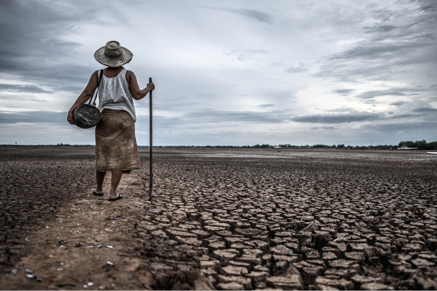 Emergência climática ganha mais espaço nas redações