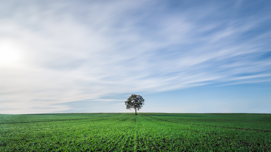 4 recomendações para manter o jornalismo ambiental envolvente